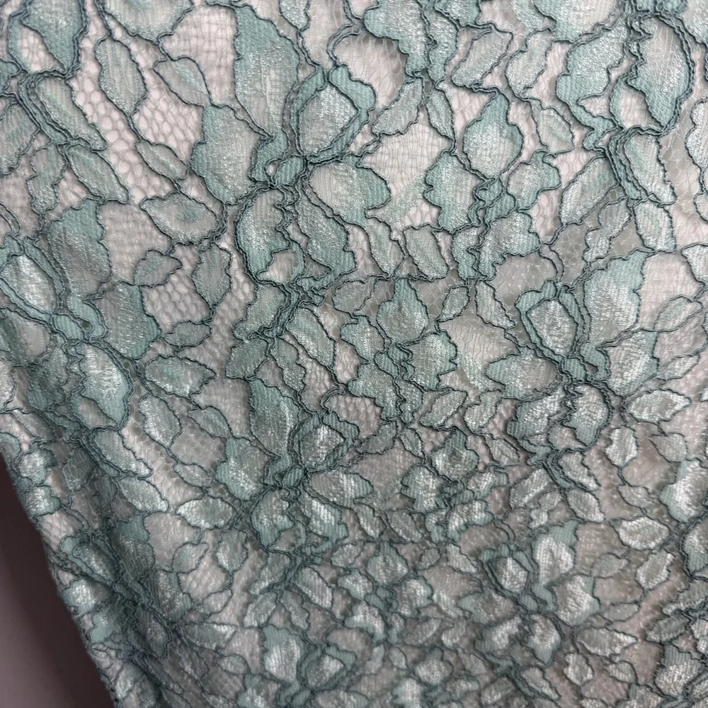 Tadashi Shoji EMBROIDERED TULLE PLEATED Lace Sheath Green Mint DRESS 18Q Easter